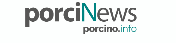 logo-porcinews